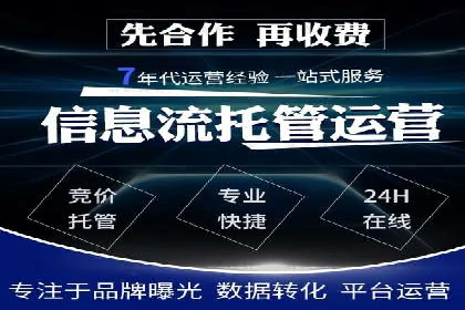 优化SEM竞价策略：成功案例剖析